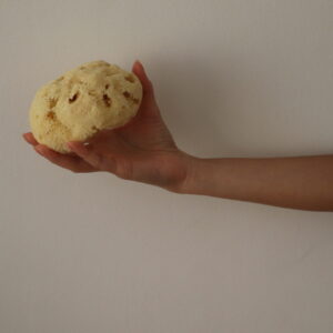 Sheep Wool Skin Bliss Face Sponge