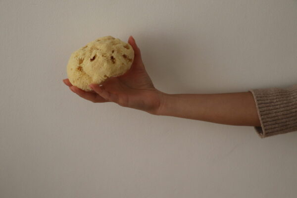Sheep Wool Skin Bliss Face Sponge