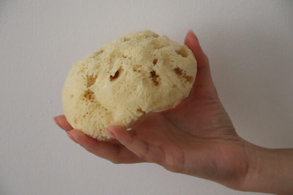 Sheep Wool Skin Bliss Face Sponge - Image 2