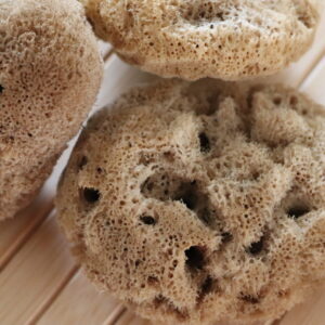Soft Serenity Sheep Wool Sponge