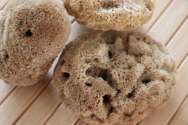 EcoSoft Sheep Wool Baby Sponge - Image 3