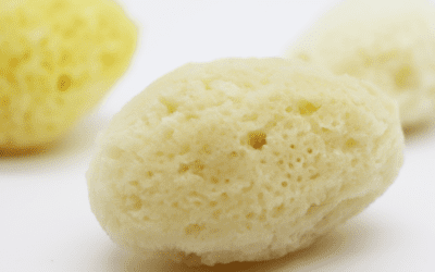 What Is a Natural Sea Sponge? The Ocean-Grown Secret Behind Natural Sponge Skincare | SpongeBox