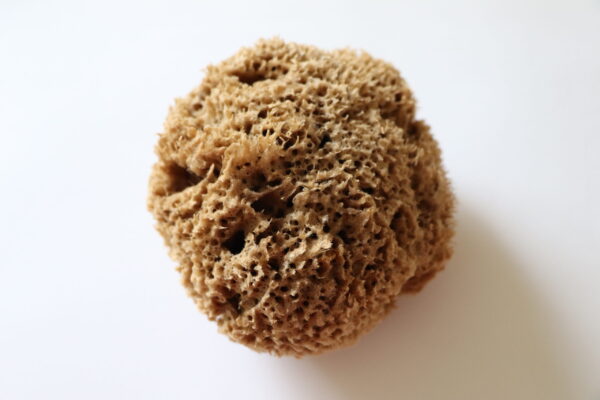 Soft Serenity Sheep Wool Sponge - Image 9