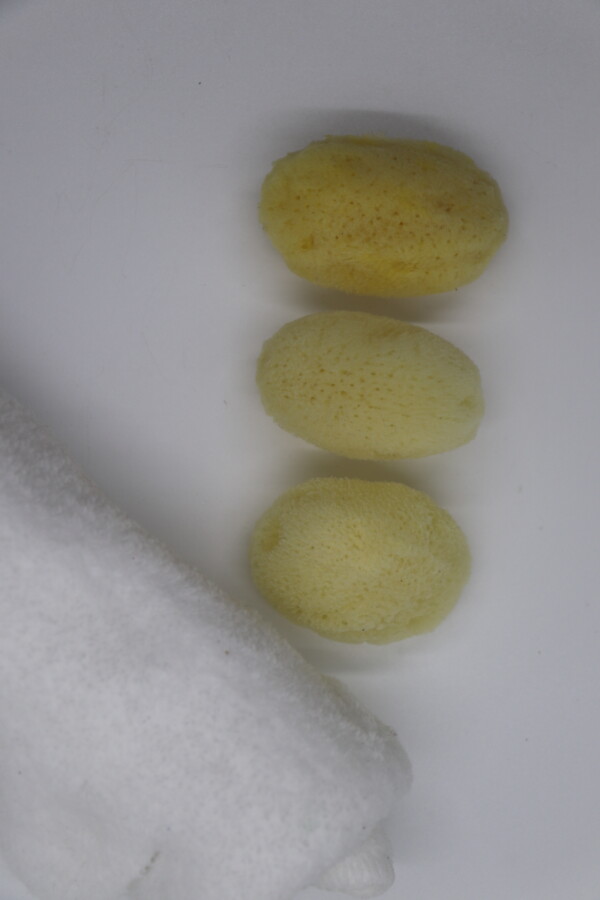 Triple Treat: 3-Pack Natural Sea Sponge Set - Image 6