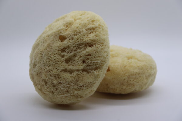 Nature’s Touch Sheep Wool Sponge