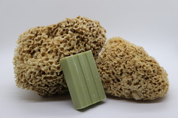 Honeycomb Luxe Sea Sponge - Image 2