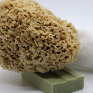 Honeycomb Luxe Sea Sponge