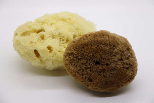 Soft Serenity Sheep Wool Sponge - Image 8