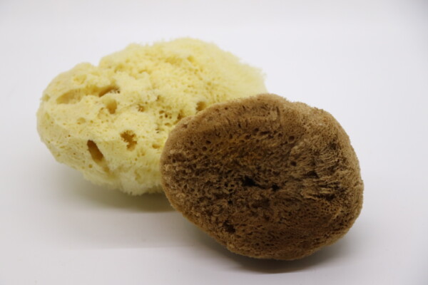 SilkSerenity Sea Sponge - Image 3