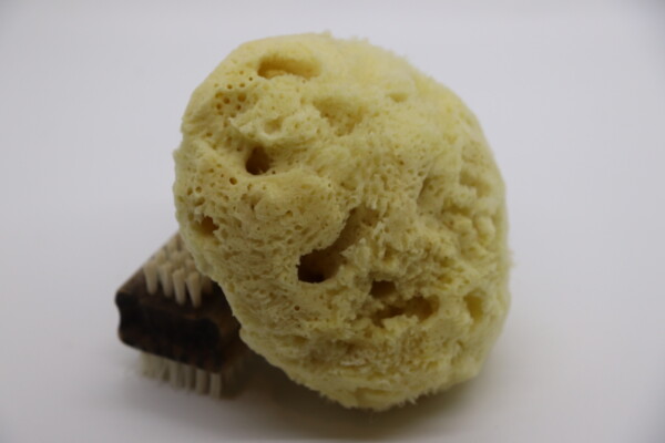 GentleSheep Wool Baby Sponge - Image 3