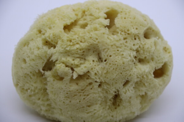 GentleSheep Wool Baby Sponge - Image 2