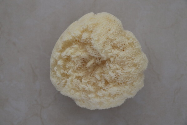 GentleSheep Wool Baby Sponge - Image 5