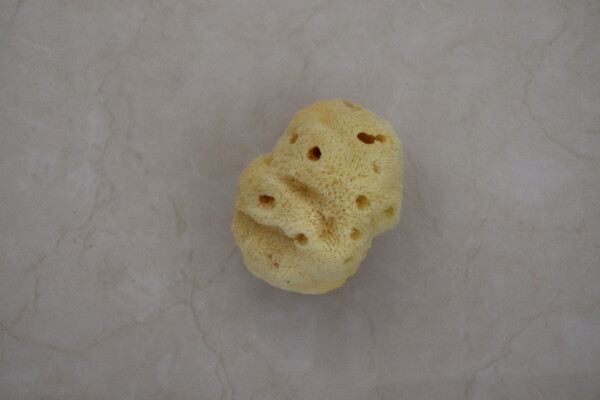 Natural sea sponge on a smooth, light-colored surface showcasing its porous texture, ideal for eco-friendly bathing and cleaning solutions. Perfect for sustainable living.