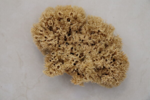 DeepSea Pure - Image 3