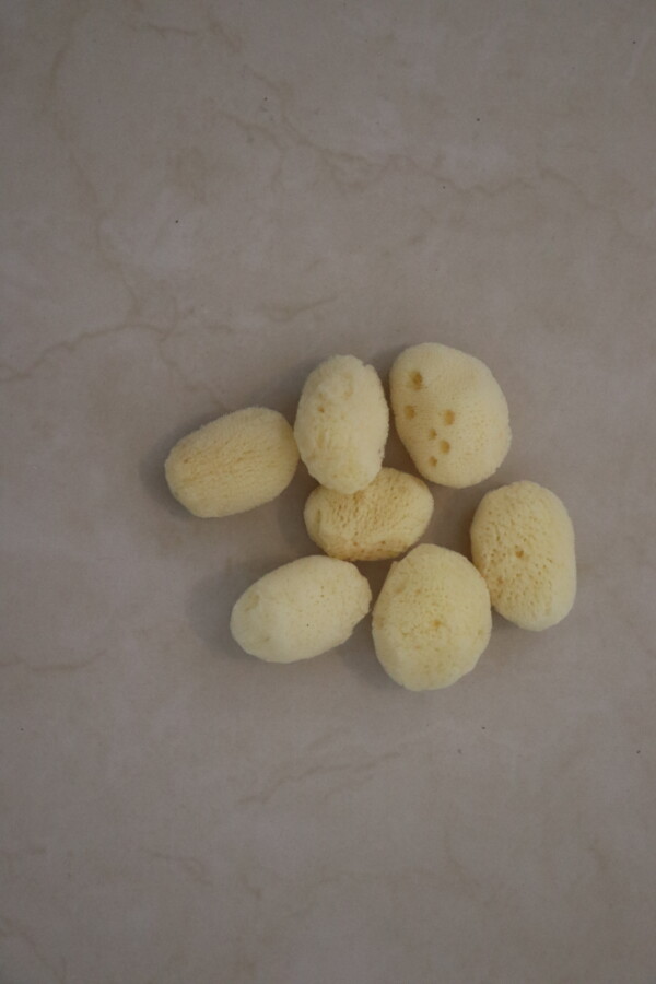 Natural sea sponge collection on a beige background showcasing soft texture. Ideal for eco-friendly bathing and skincare routines highlighting sustainability and natural beauty.