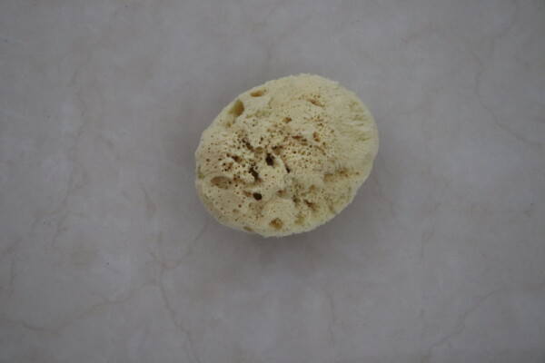 Nature’s Touch Sheep Wool Sponge - Image 2
