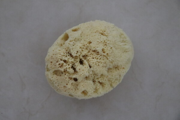 Nature’s Touch Sheep Wool Sponge - Image 5
