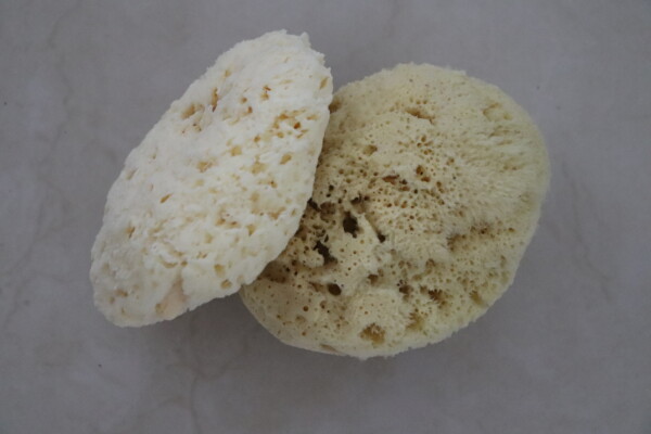 Nature’s Touch Sheep Wool Sponge - Image 6