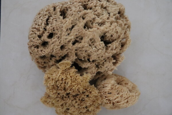 DeepSea Pure - Image 4
