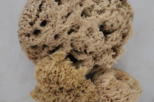 DeepSea Pure - Image 5