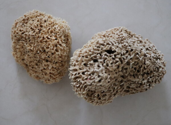 Natural sea sponge on a light surface showcasing its porous texture and structure ideal for exfoliating and skincare in eco-friendly bath and body products.