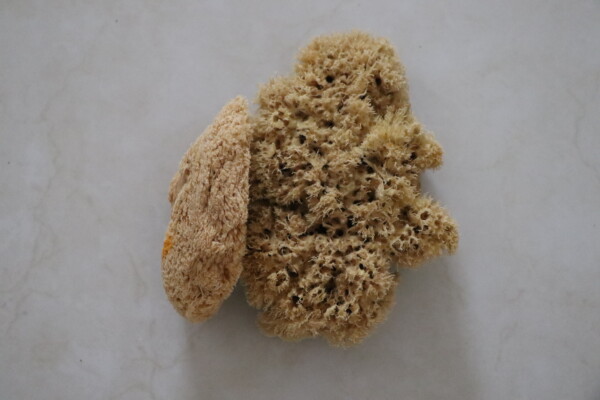 Natural sea sponge on a white marble surface showcasing its porous texture and natural color perfect for bathing exfoliation or artistic use in eco-friendly products