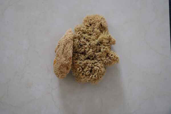Natural sea sponge on a smooth gray surface showcasing its porous texture and organic shape ideal for eco-friendly bathing and cleaning solutions.