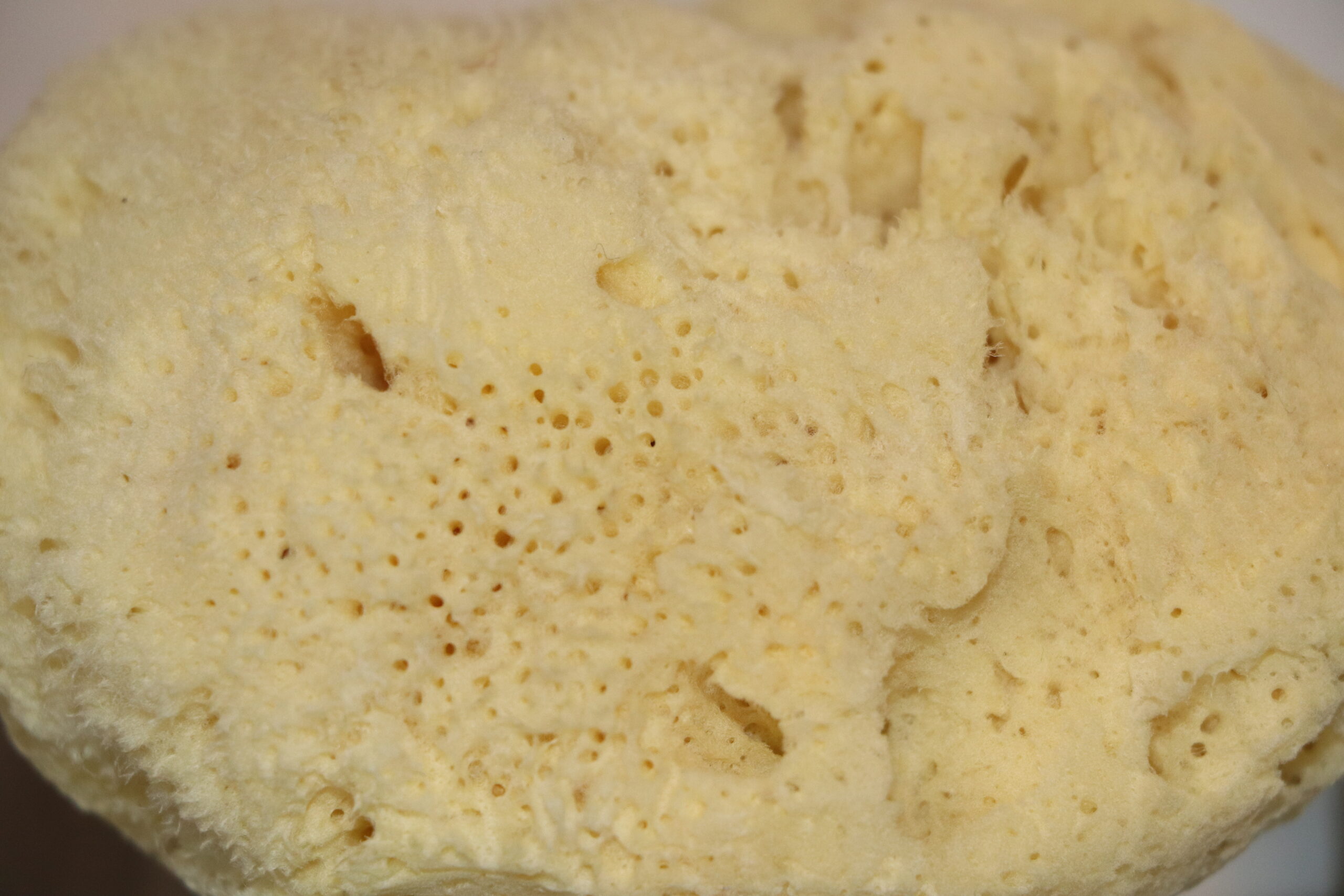 Bleached Grasswool