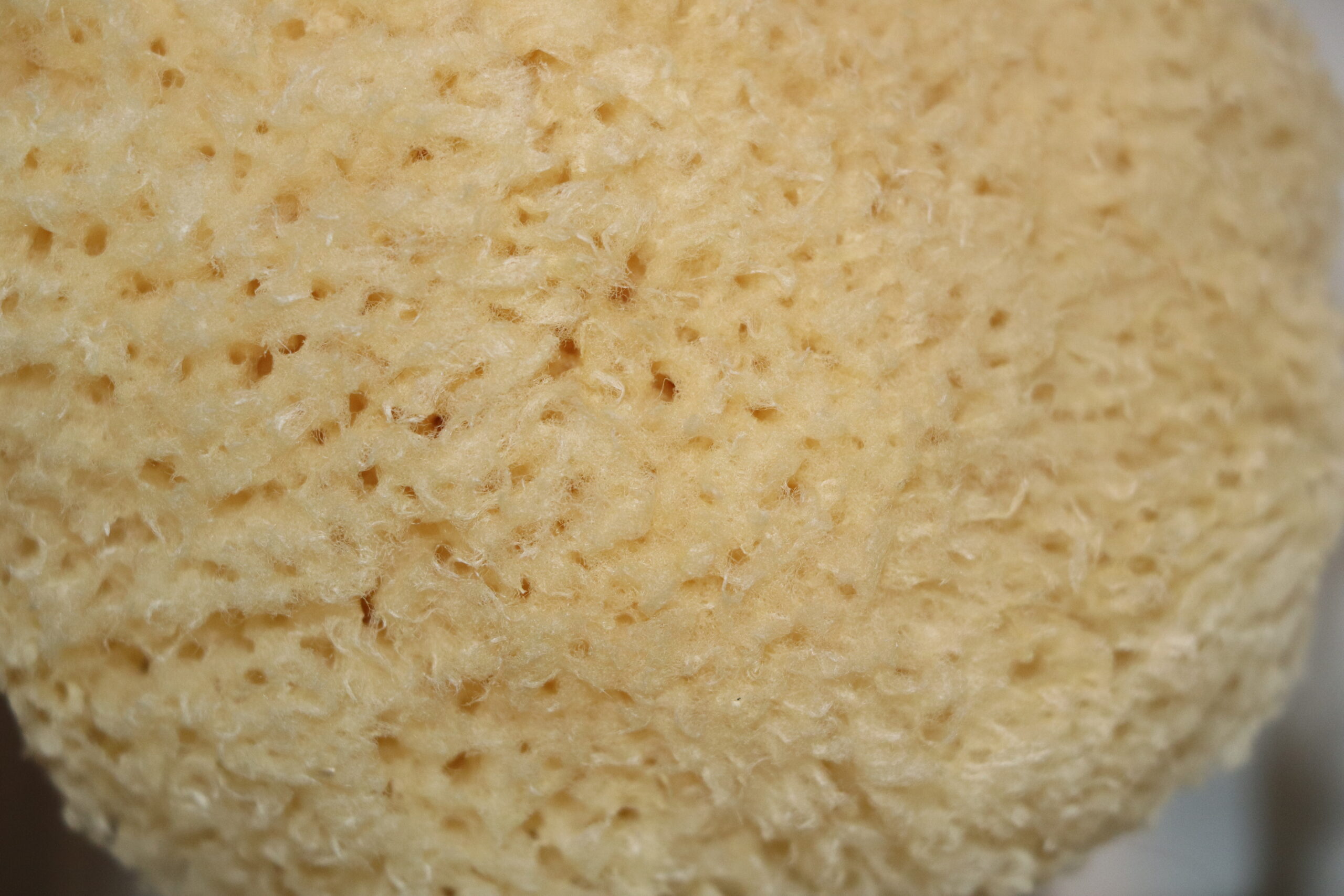 Bleached Honeycomb