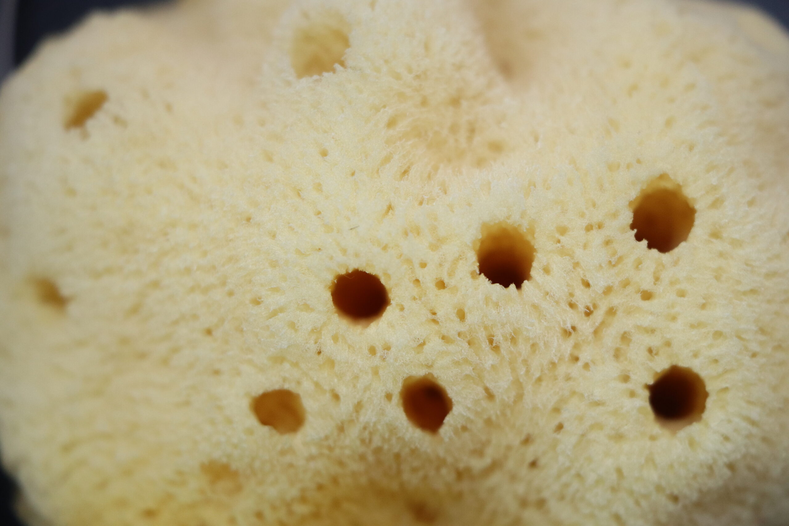 Bleached Silk