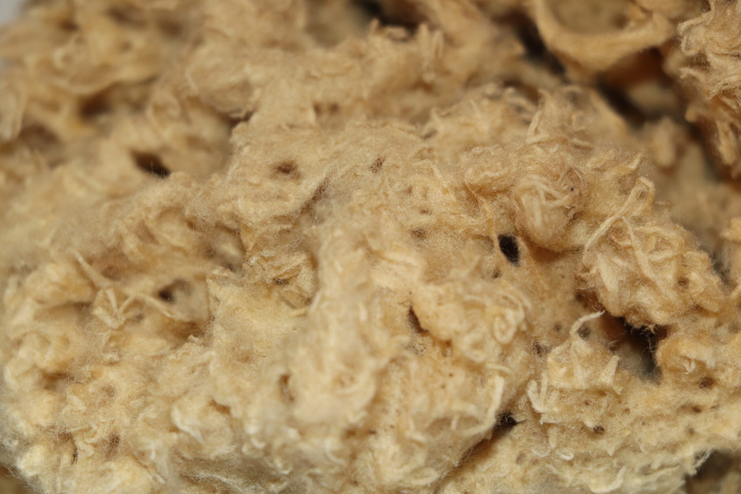 Unbleached Deep Sea