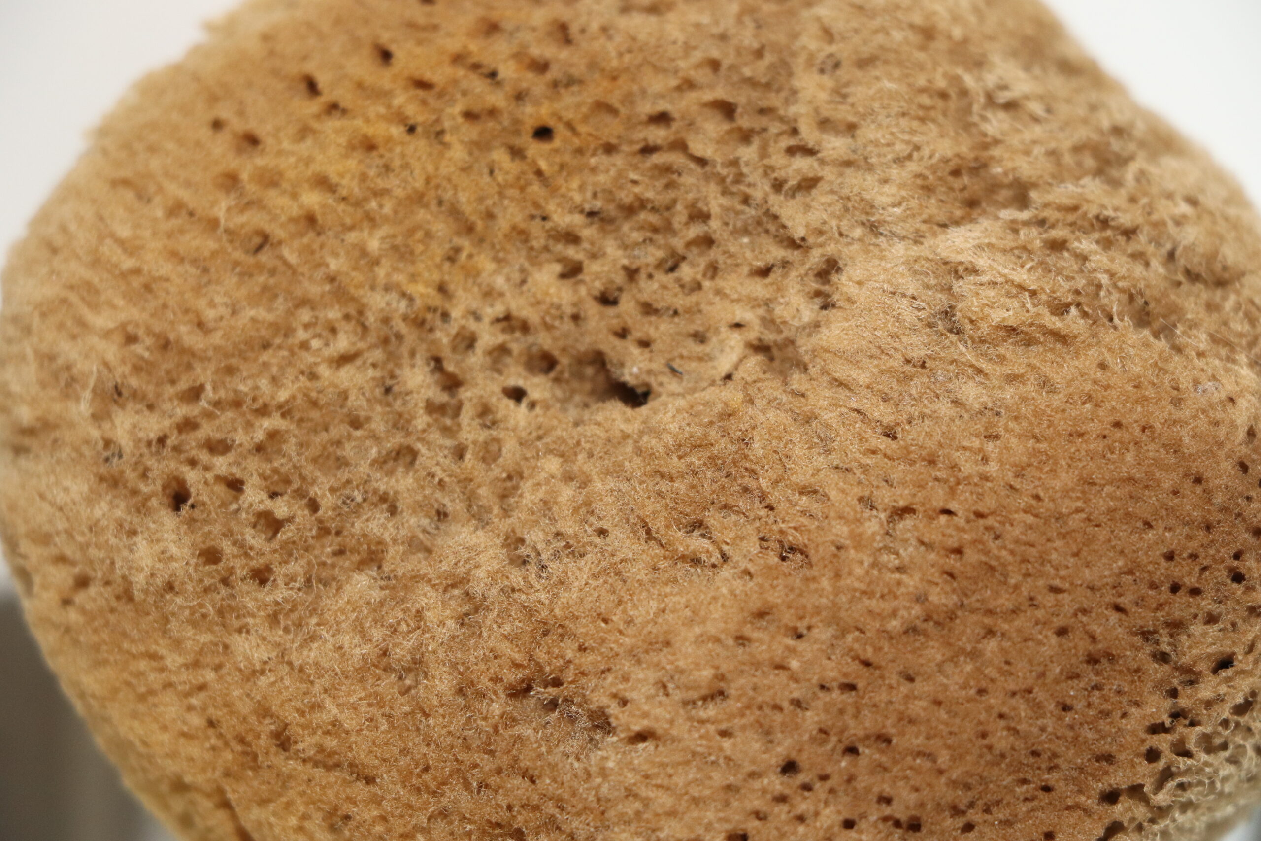 Unbleached Grasswool