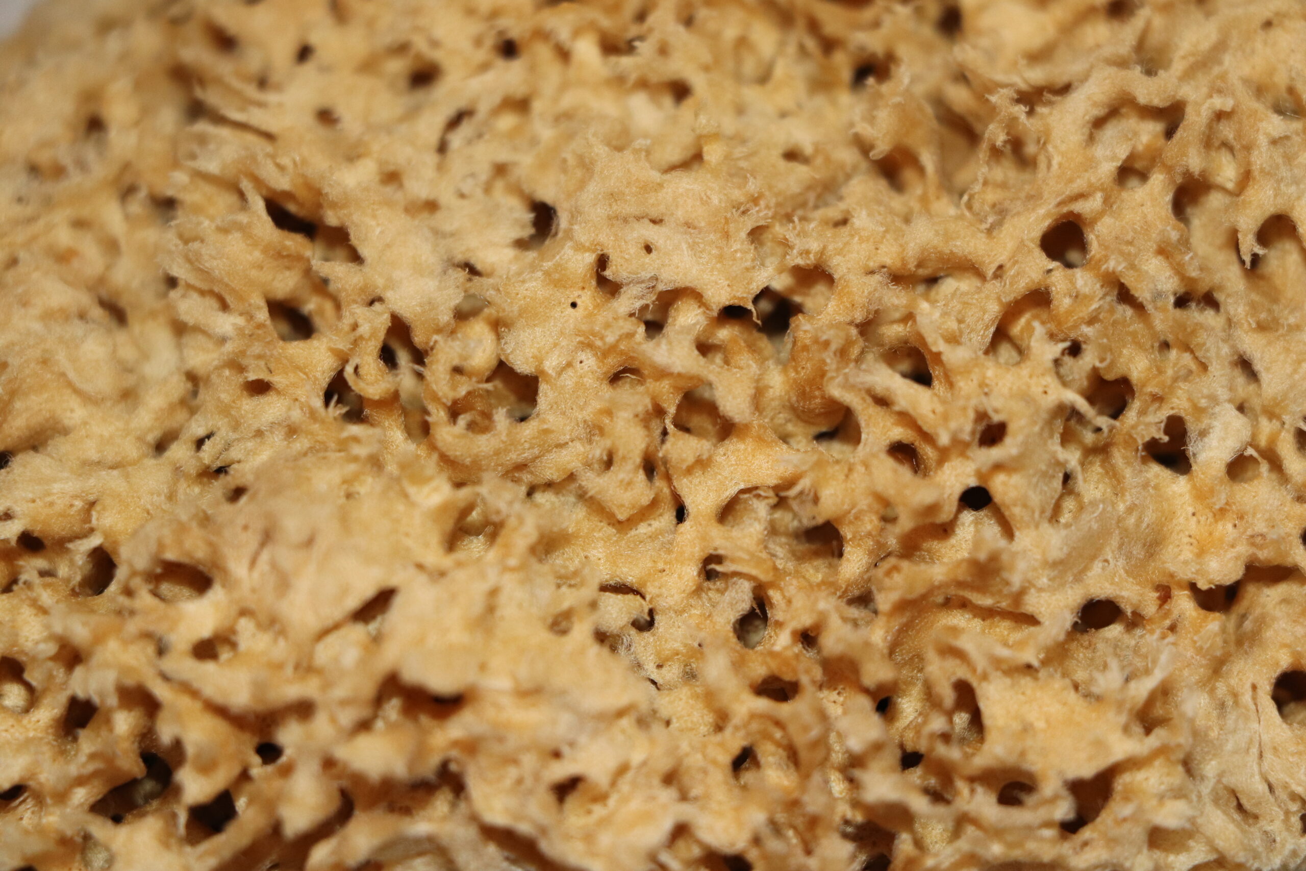 Unbleached Honeycomb