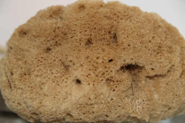 SilkNest Baby Bath Buddy Sponge - Image 3