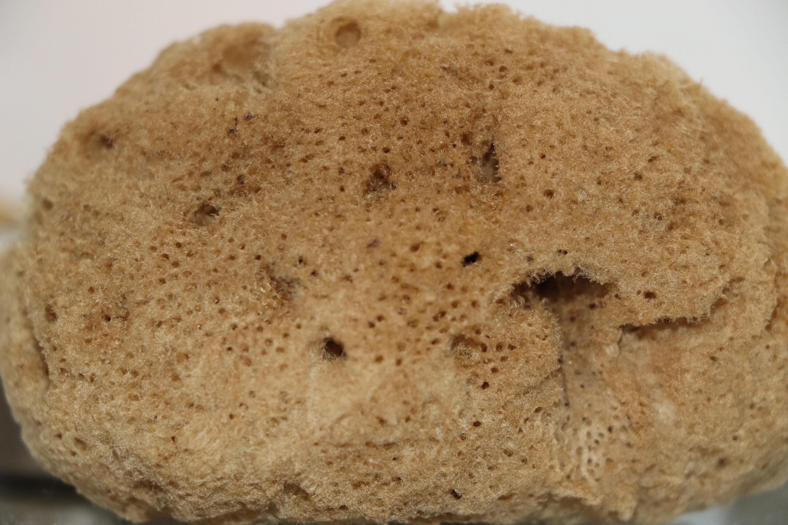 Unbleached Silk