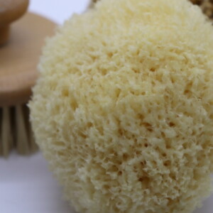 GoldenGlow Honeycomb Sea Sponge