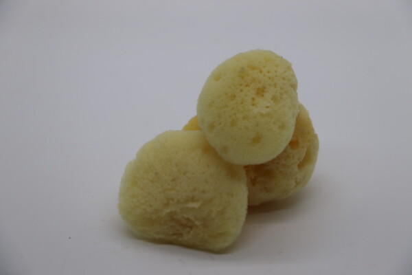 Triple Treat: 3-Pack Natural Sea Sponge Set - Image 7