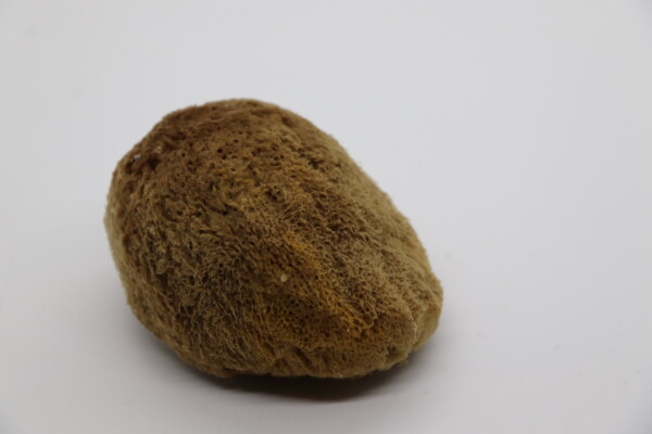 SilkNest Baby Bath Buddy Sponge - Image 4