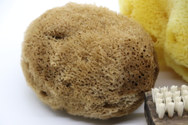 SilkNest Baby Bath Buddy Sponge - Image 2