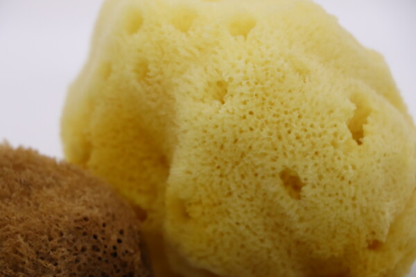 PureSilk Baby Bath Buddy Sponge - Image 2