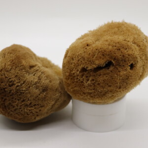 Sheep Wool Glow-Up Raw Face Sponge