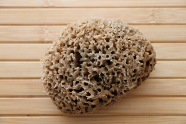 Natural sea sponge resting on a wooden surface showcasing its porous texture and earthy tones ideal for exfoliating and eco-friendly cleaning applications