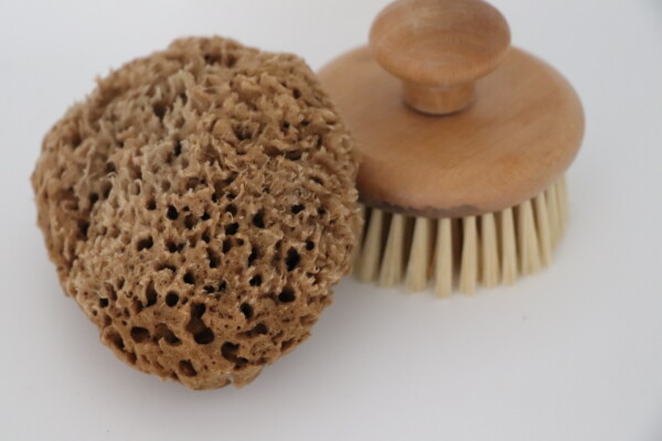Natural sea sponge paired with a wooden dry brush on a white background perfect for an eco-friendly skin care routine promoting exfoliation and healthy skin.