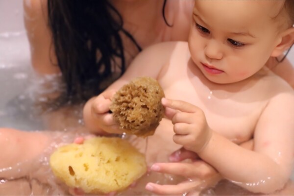 EcoSoft Sheep Wool Baby Sponge
