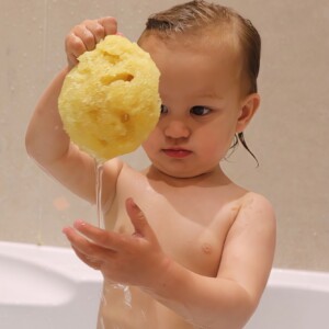 Natural sea sponge held by a child in a bathtub. The child is observing the texture and water flow from the sponge. Ideal for a soothing and eco-friendly bath time.