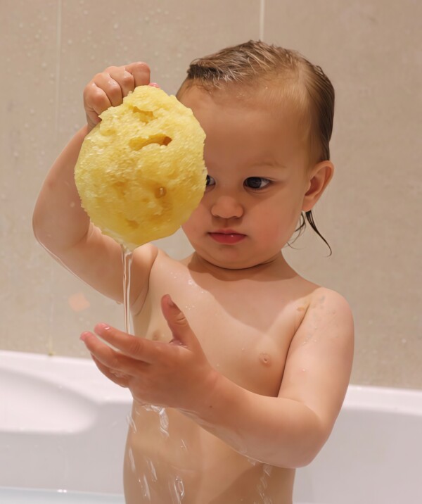Natural sea sponge held by a child in a bathtub. The child is observing the texture and water flow from the sponge. Ideal for a soothing and eco-friendly bath time.